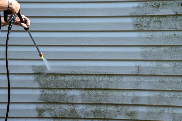 Professional Siding Installation & Repair in Forest, MS